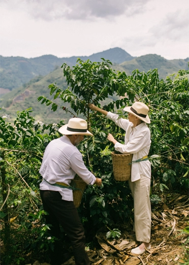 Esperienza del Caffè — Tour privado en Bogotá con guía bilingüe
