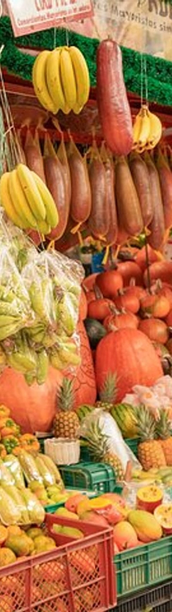 Tour Gastronomico · Frutti Esotici
