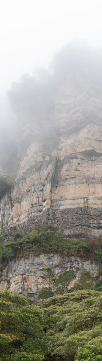 Foresta Nuvolosa di Chicaque