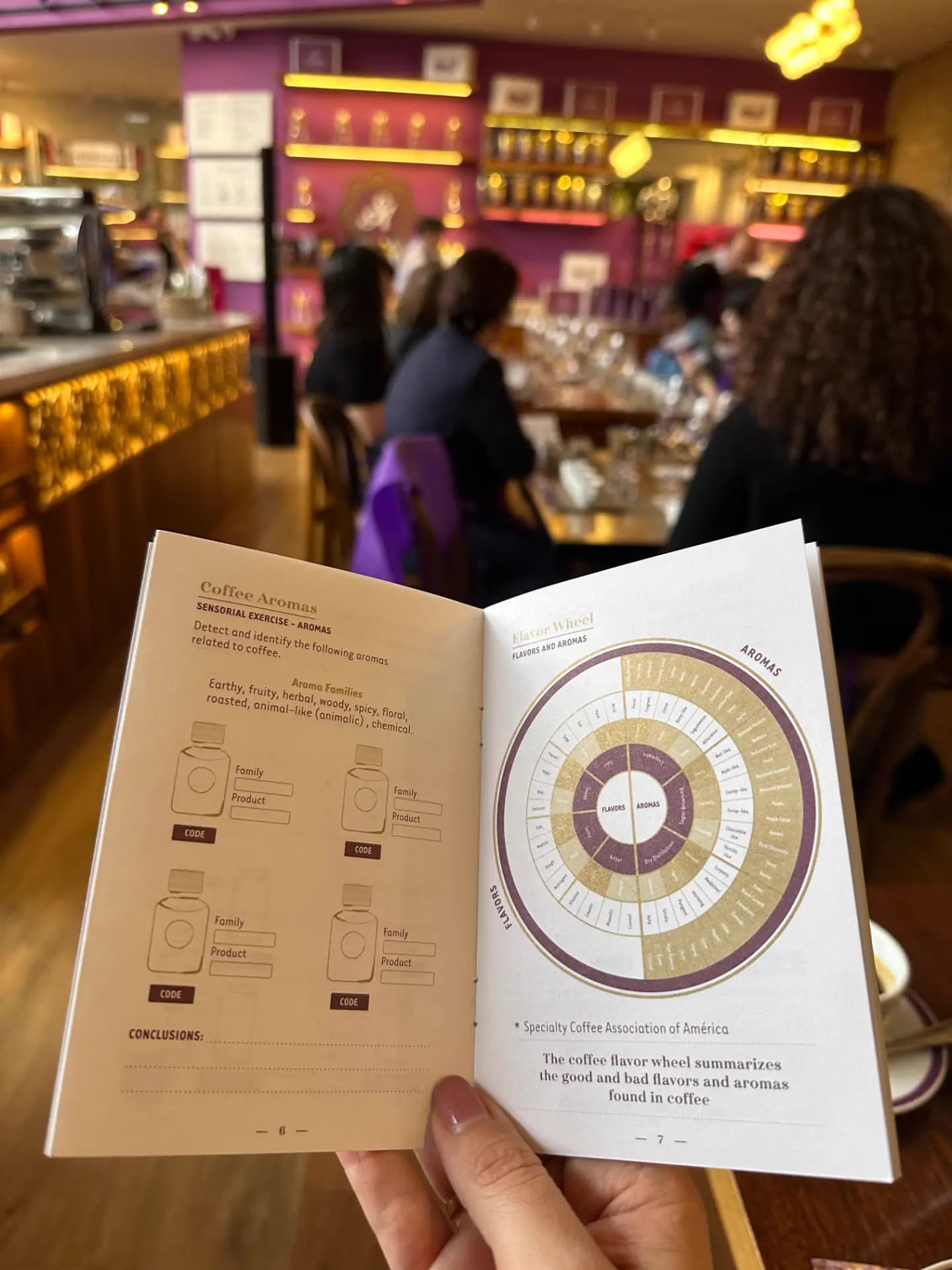Coffee aromas diary and flavor wheel used in the sensory exercise