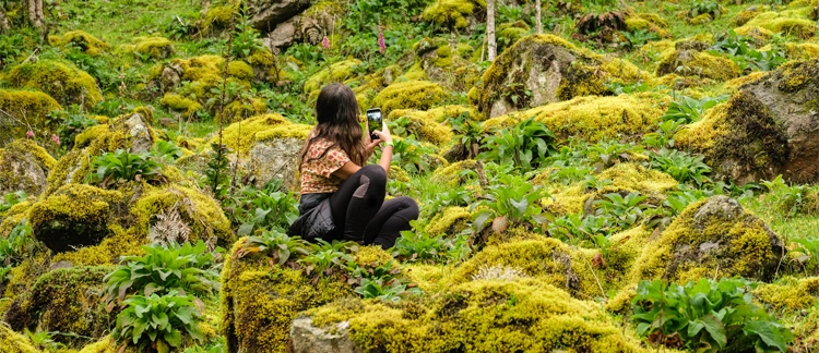 Visitor photographing mossy rock formations in Chicaque