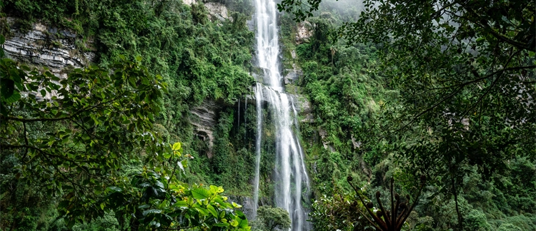 La Chorrera waterfall cascading down green cliffs