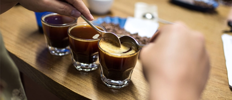Catación de café de especialidad en copas