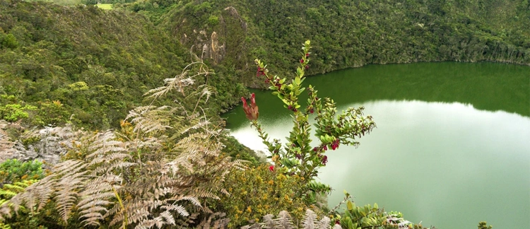 View of Guatavita Lagoon from the natural reserve