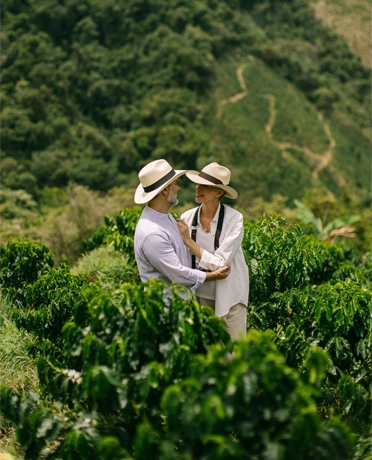 Couple in Panama hats embracing among coffee plants in Colombia's Coffee Region (Eje Cafetero), with green mountains in the background.