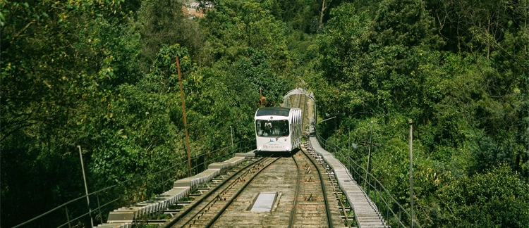 Funicular tracks climbing the forested hill