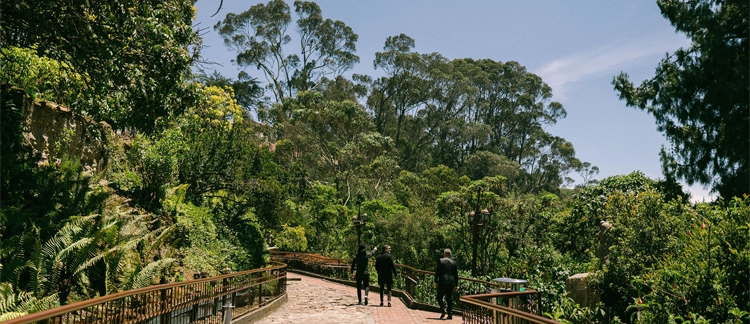 Way of the Cross trail through Monserrate's gardens